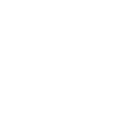 Vibe Digital Media